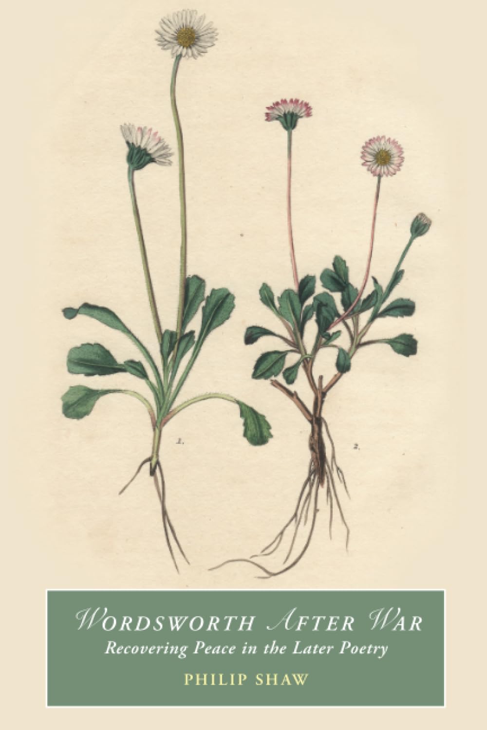 Wordsworth After War: Recovering Peace in the Later Poetry (Cambridge Studies in Romanticism)