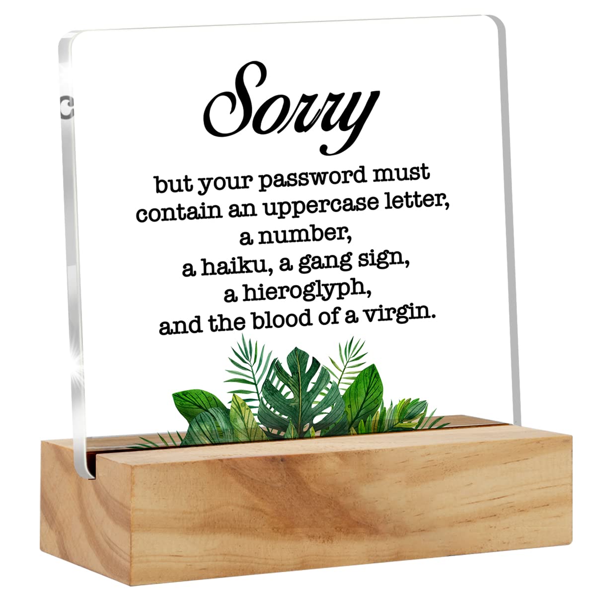 Sorry But Your Password Must Contain Desk Decor Acrylic Desk Sign Funny Computer Science Acrylic Plaque Home Office Desk Shelf Decoration 4.7"x4.7"
