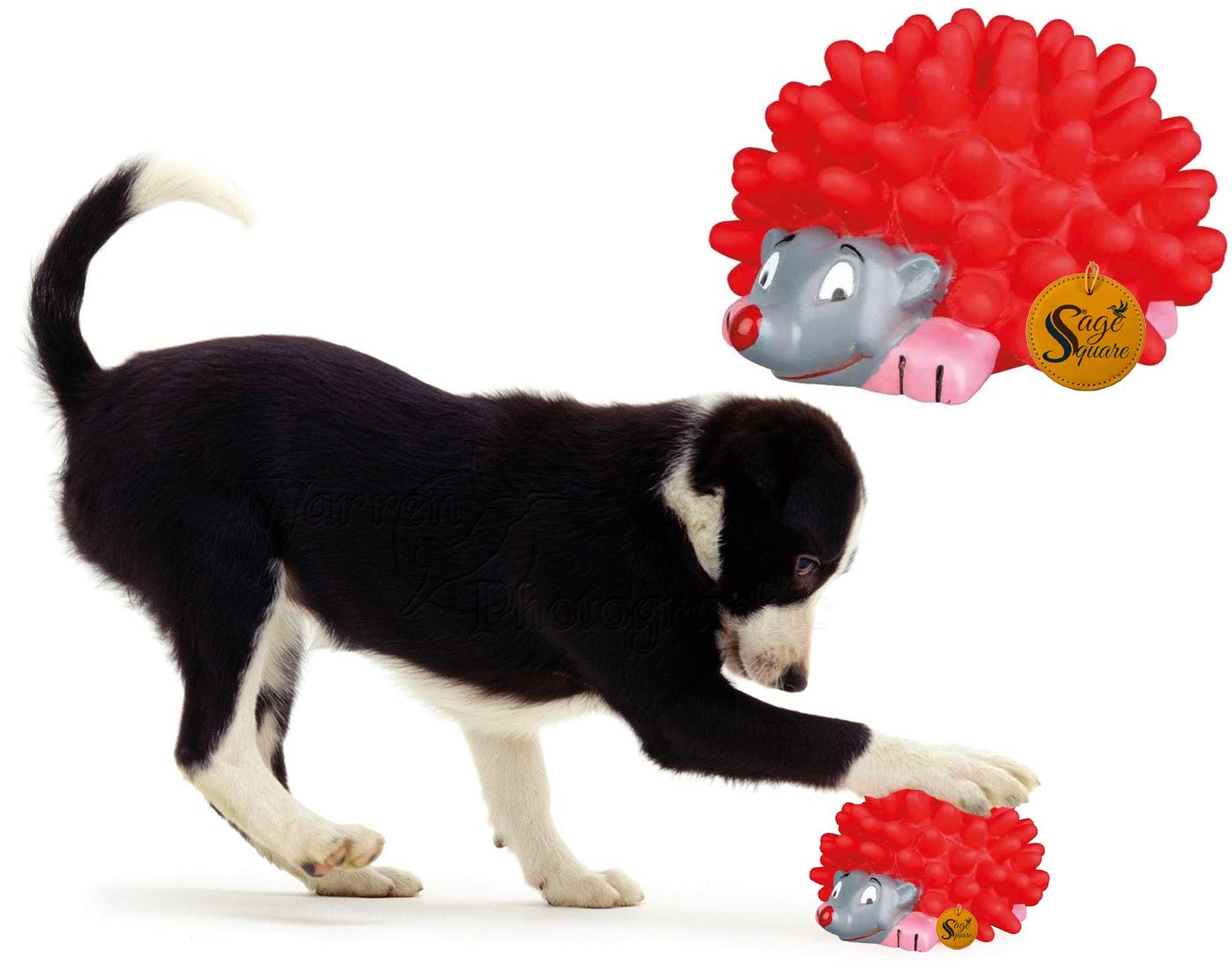 Sage Square Playful Procupine Squeaky Toy for Playtime of Cute Friend of Natural Rubber for Dog/ Puppy/ Kitten/ Cat (Red) (B0892M8CP4) Amazon Price History, Amazon Price Tracker
