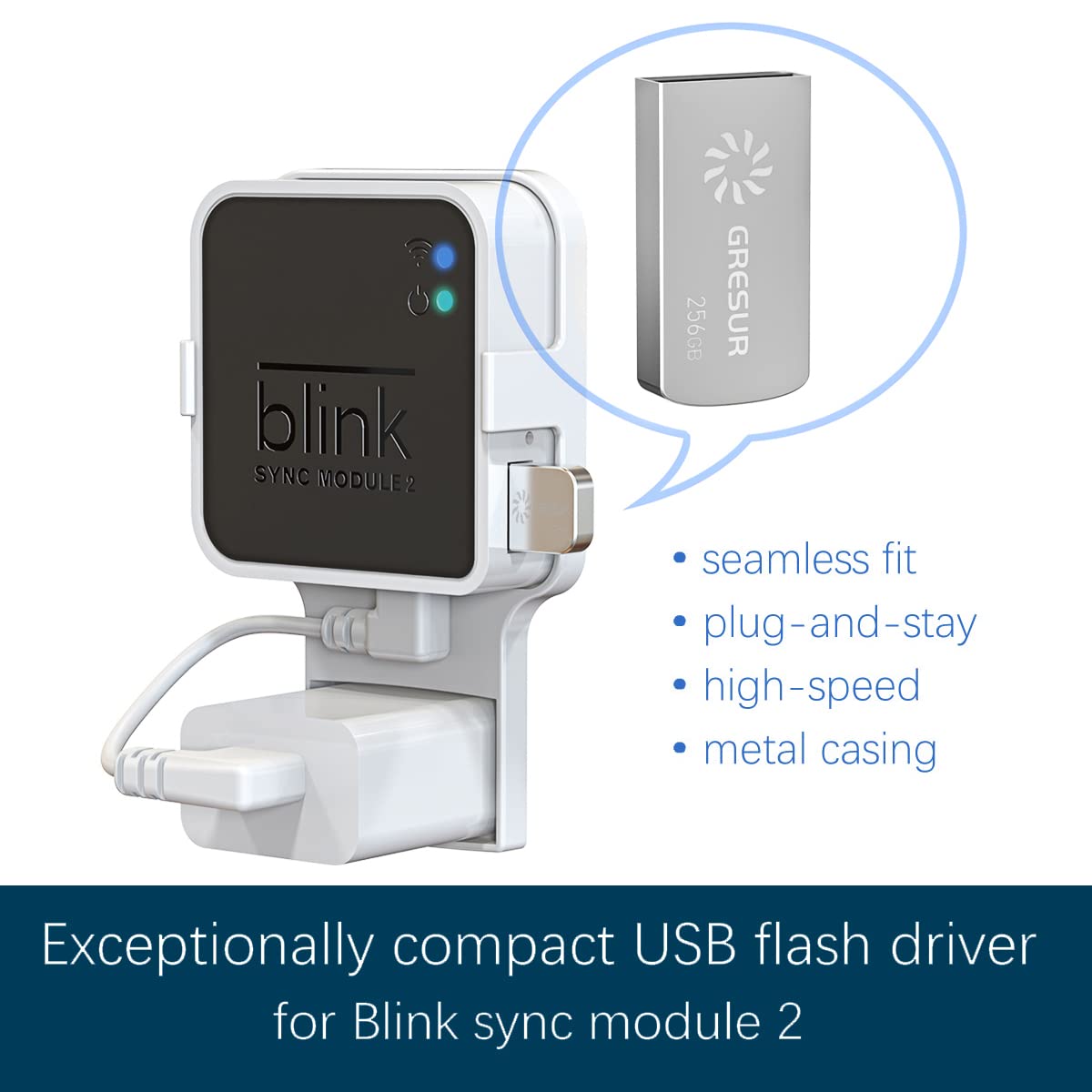 Buy 256GB Blink USB Flash Drive and Blink Doorbell Mount, Adjustable (15/30/45 Degree) Angle