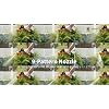 Product Photo 7