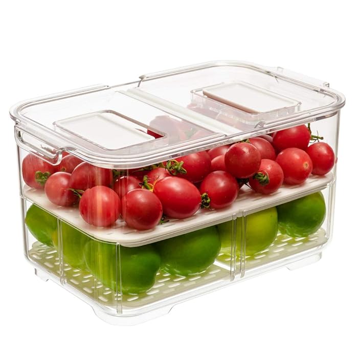 Buy blitzlabs Fridge Food Storage Container, Fresh Produce Saver