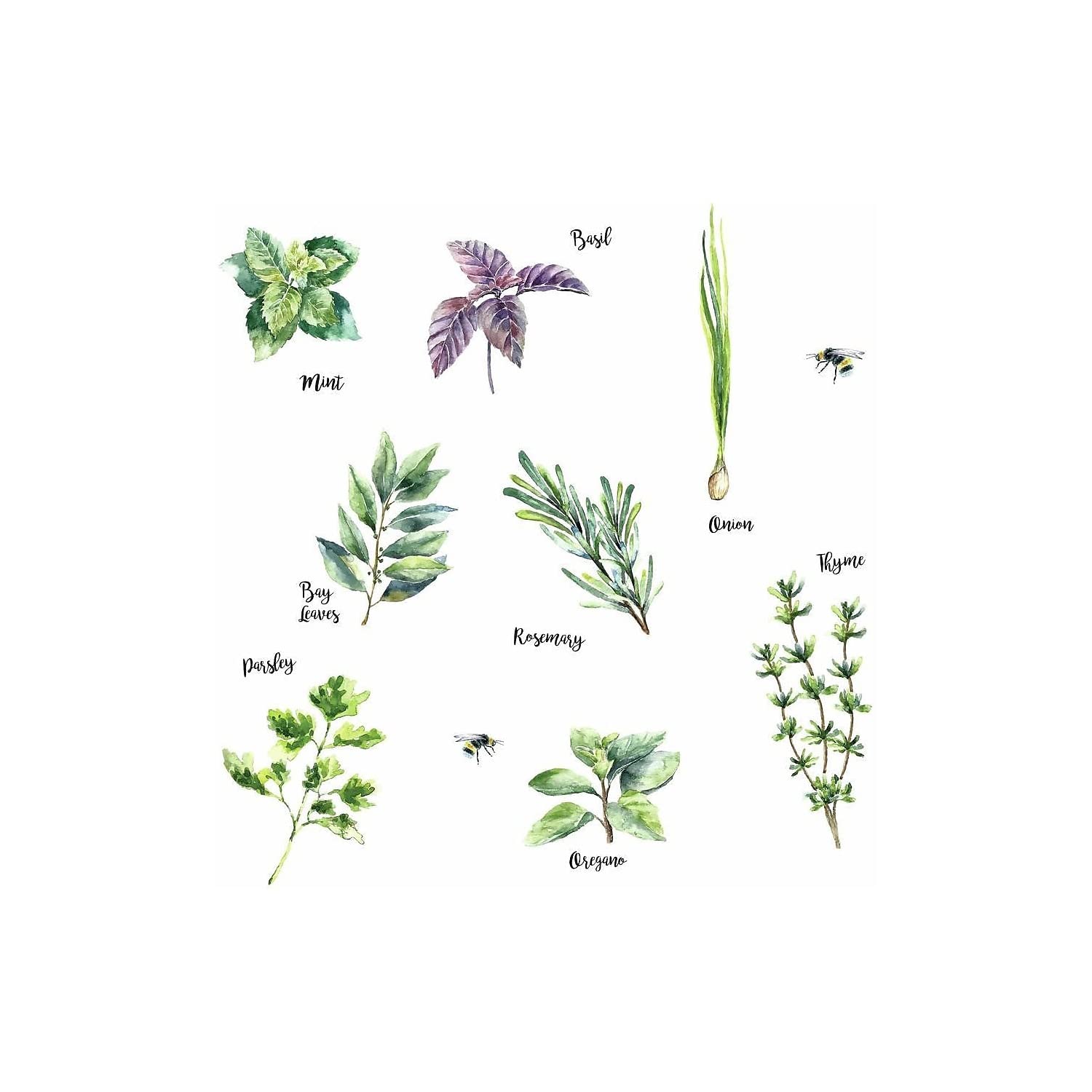 RoomMates Watercolor Herb Peel and Stick Wall Decals,Green, Brown, Purple, 4 Sheets 9 inches x 17.375 inches