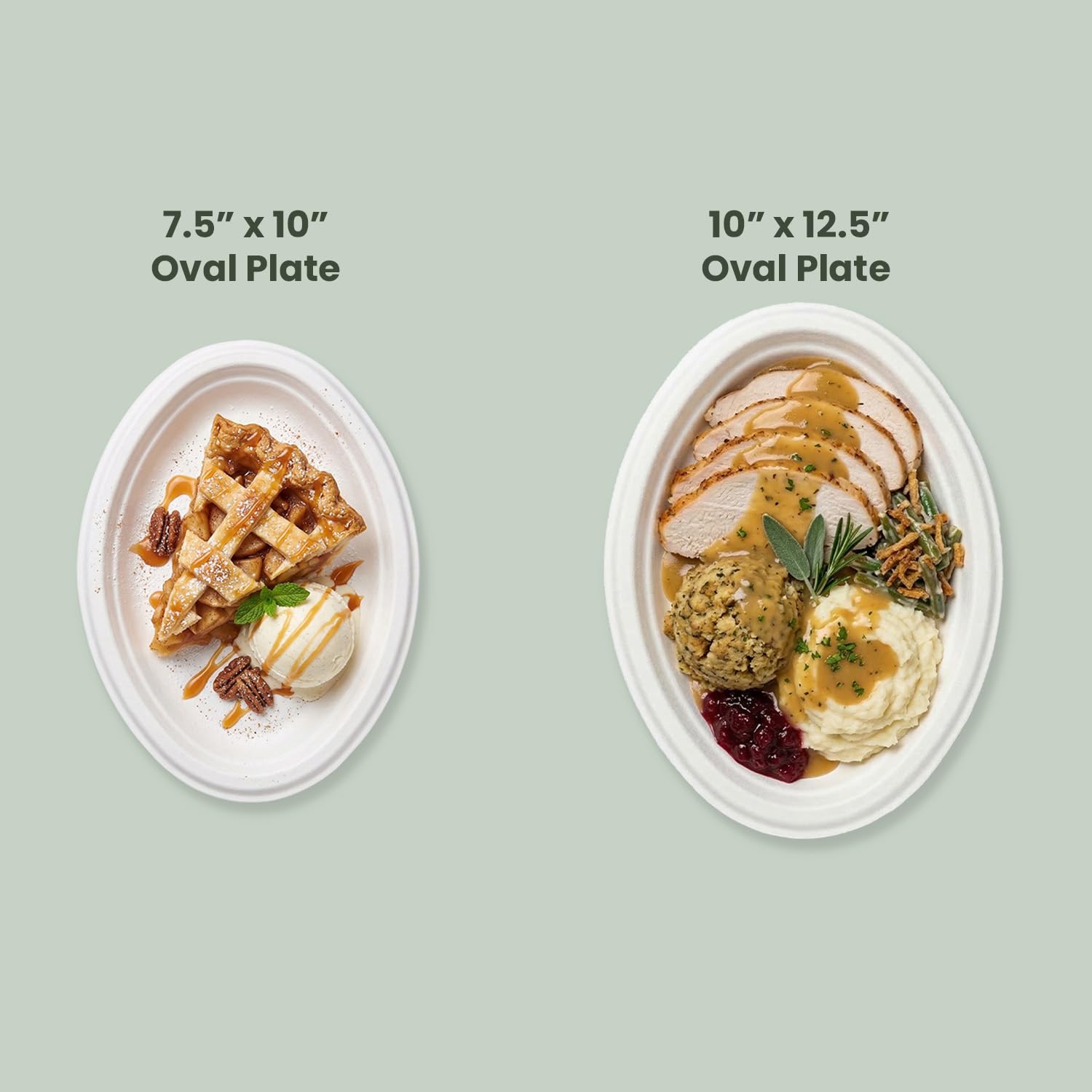 Platos ovalados desechables (250 unidades, grandes), caña de azúcar ecológica, biodegradables, compostables, resistentes, sin BPA, aptos para microondas y congelador, perfectos para fiestas, bodas