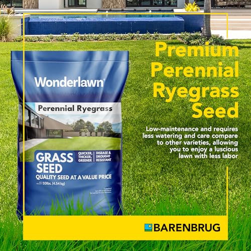 Barenbrug Wonderlawn Perennial Ryegrass Grass Seed for Southern Lawns, Fast-Acting Durable Grass Seed Mix for All Weather Conditions, 10-lb. Bag