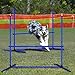 FIVMEN 4X Agility Set Hunde Slalomstangen Hund Training Set Höhenverstellbar Kunststoff Hürdenset Hobby Horse Hindernisse mit Transporttasche für Hundetraining Hundesport, Blau