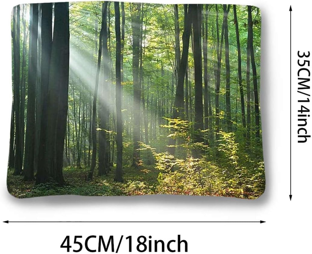 review Green Thermal Pet Mat Bed Liner Forest Fresh Calm Nature Park Hiking Picture Soft Plush Autumn Winter Thermal Pet Bed Snooze Sleeping for Kittens Puppies Rabbits Jungle 14