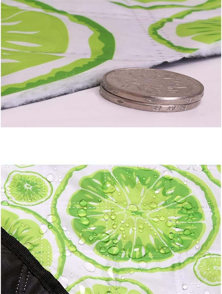 GRETD Outdoor Outing Picnic mat Lawn Camping Picnic mat Thickened Portable Picnic Cloth (Color : A, Size : 300 * 300cm) : Patio, Lawn & Garden