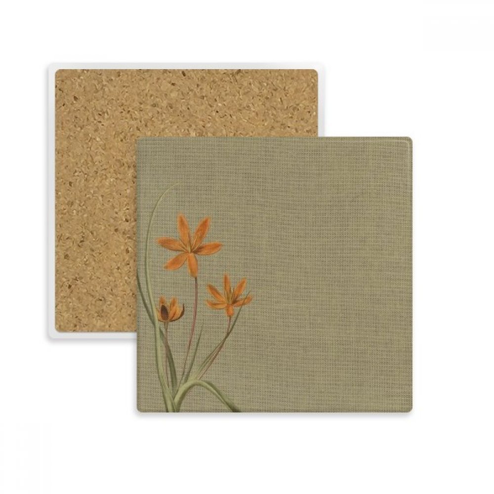 Orchée lin place coaster absorbante pierre dessous de verre boisson