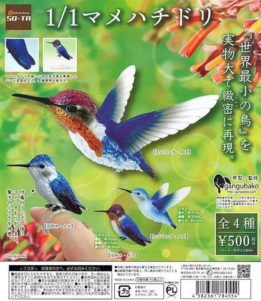 Amazon | 全4種 マメハチドリ 1/1 ガチャ ガチャガチャ 原寸大