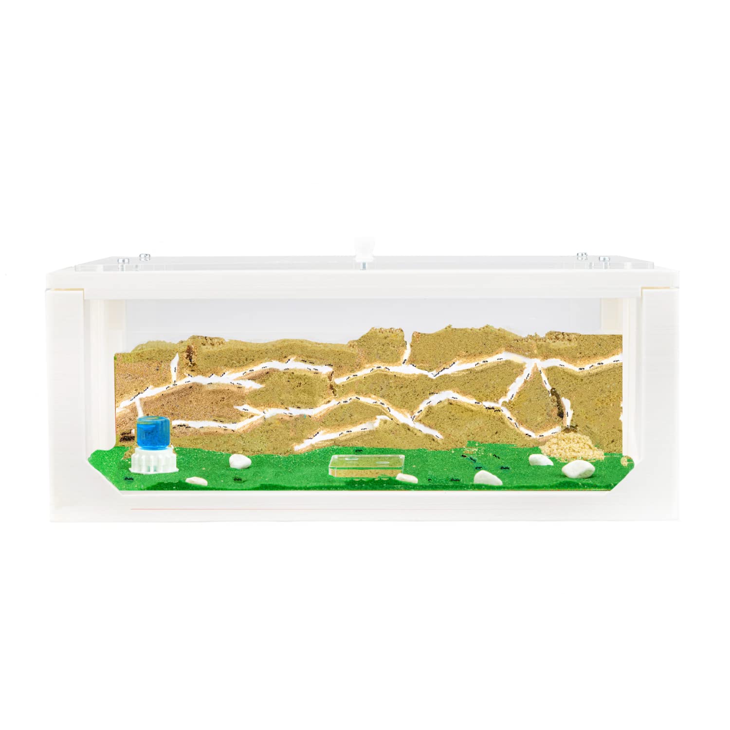 AntHouse - Natural Sand Ant Farm | 3D Big Starter Kit 30x15x10 cm | Ant Hill | Colour White