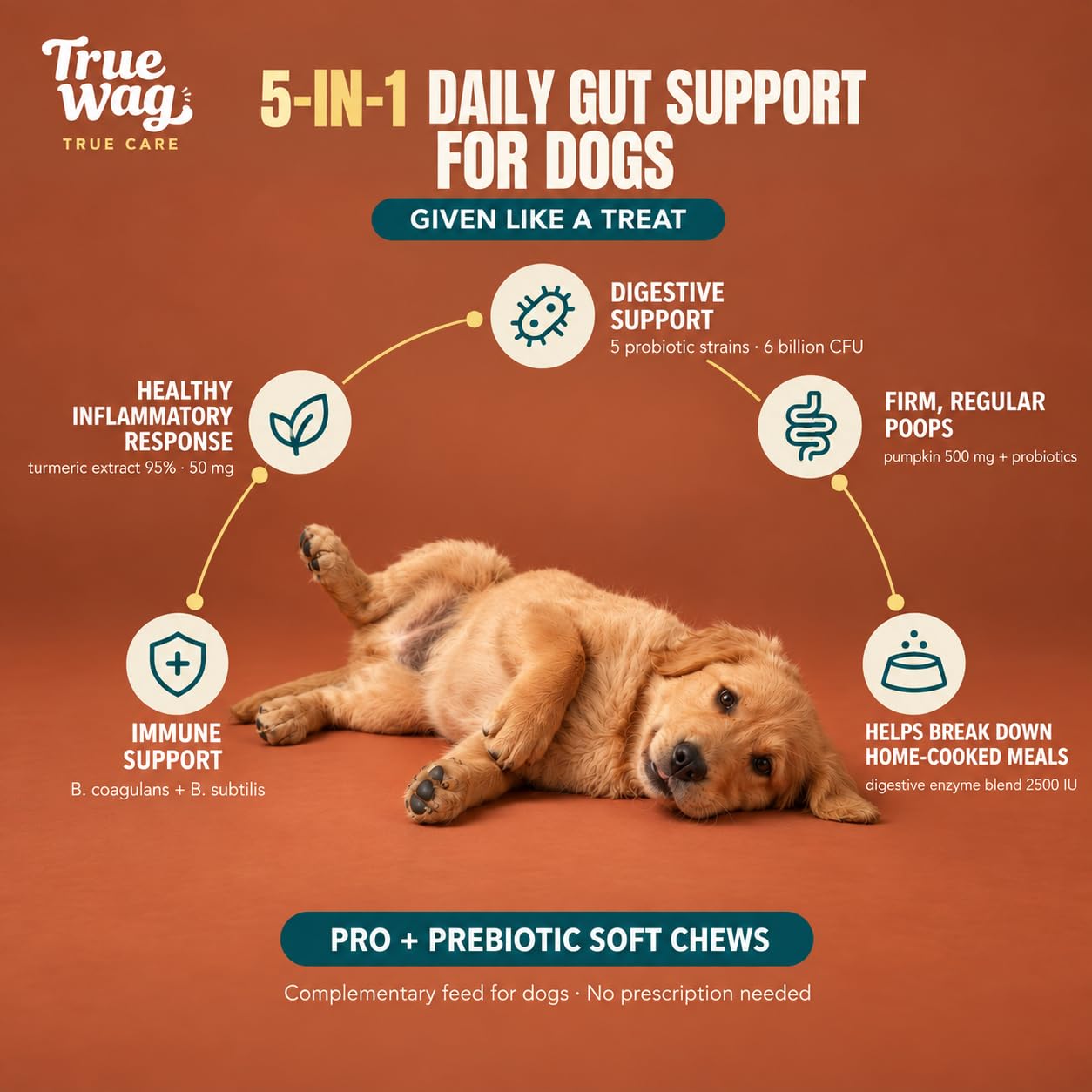 Probiotic Soft Chews for Dogs | 6 Billion CFU, 5 Strains | Turmeric & Pumpkin | Heat-Stable Gut Health & Digestion Support | Chicken Flavour | 30 Soft Chews — Amazon image 2