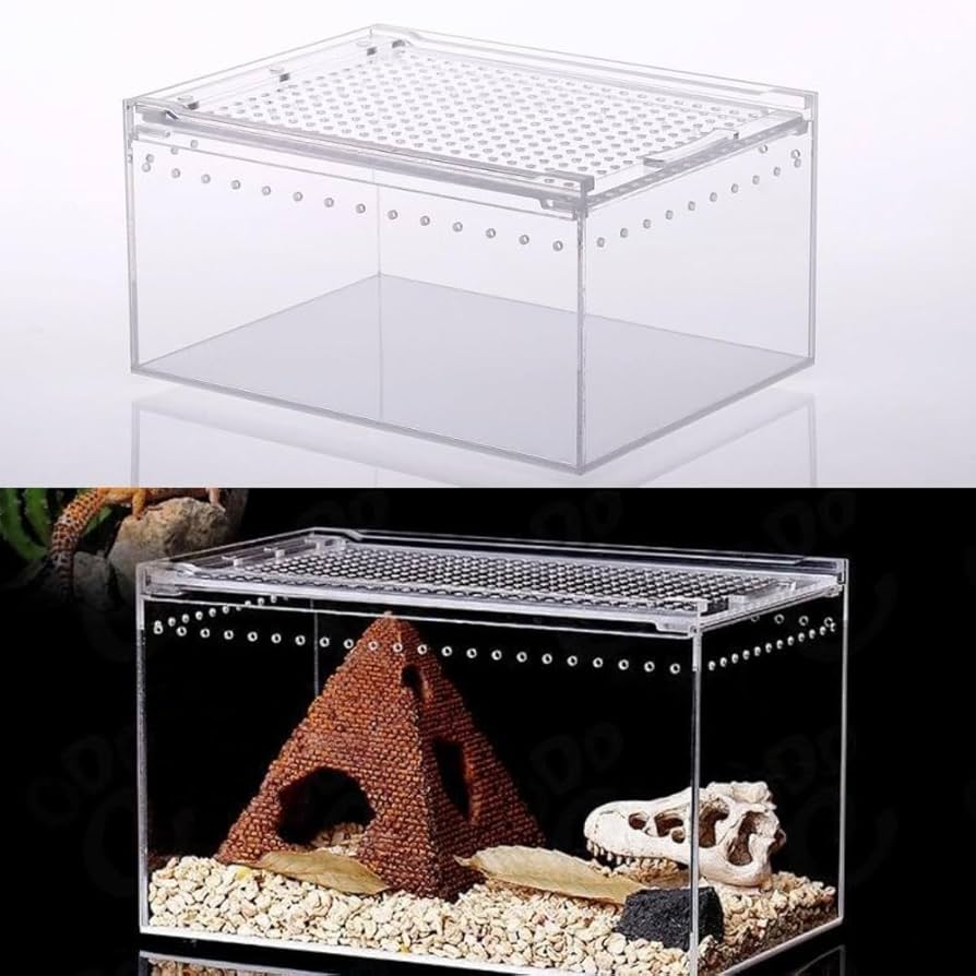 Amazon | レプタイルボックス 爬虫類 飼育ケース 虫かご 大 透明
