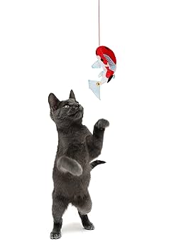 Amazon.com : Hartz Cattraction with Silver Vine & Catnip Koi