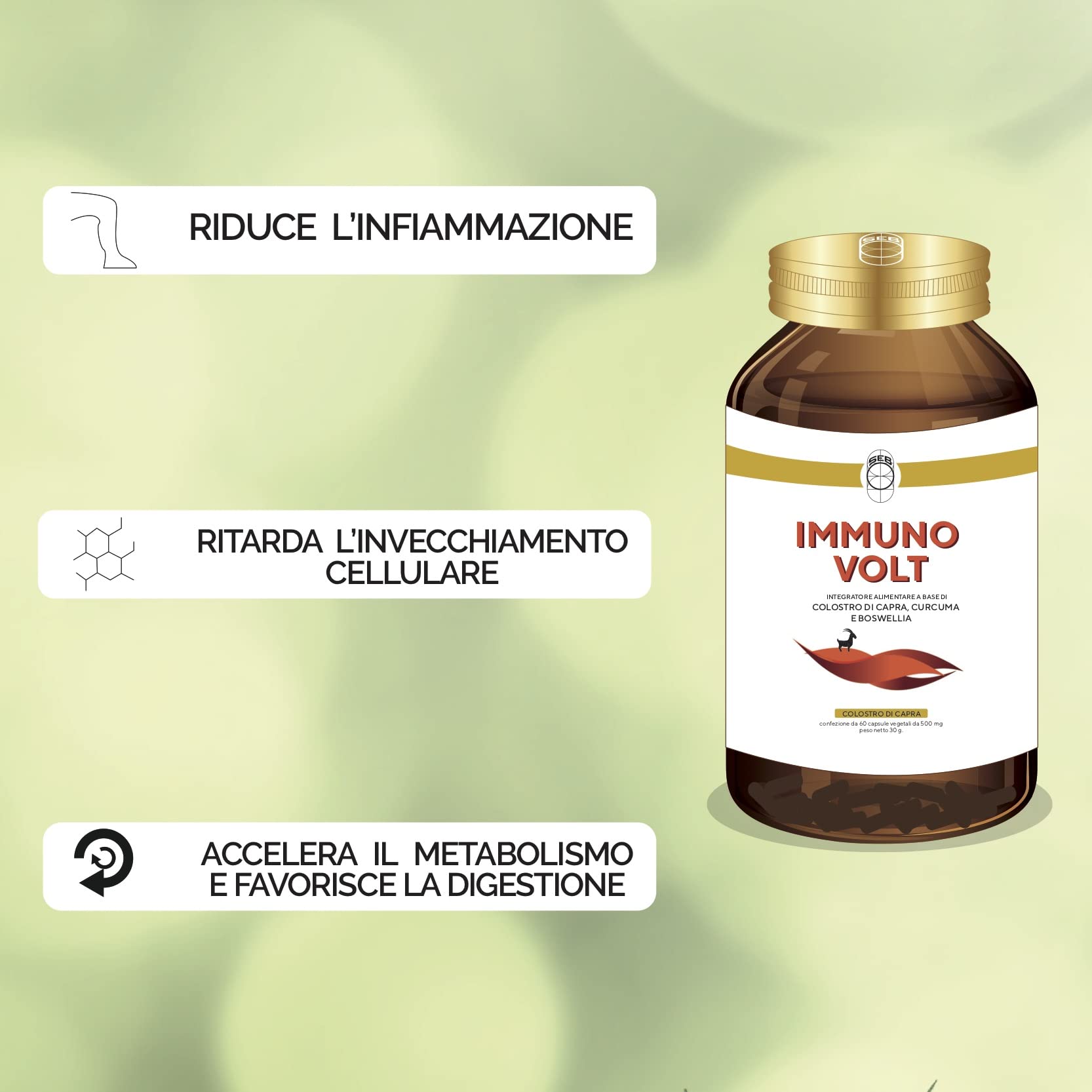 SEB Immuno Volt - Integratore alimentare naturale per il sostegno della funzionalità articolare. A base di Colostro di Capra, Lattoferrina, Curcuma, Boswellia ed enzimi