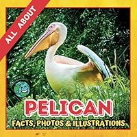 All about Pelican | Facts, Photos and Illustrations: A Picture Book for Kids and Toddlers | Screen-Free Infotainment (MY WORLD for YOUNG READERS) B0D11CW35L Book Cover