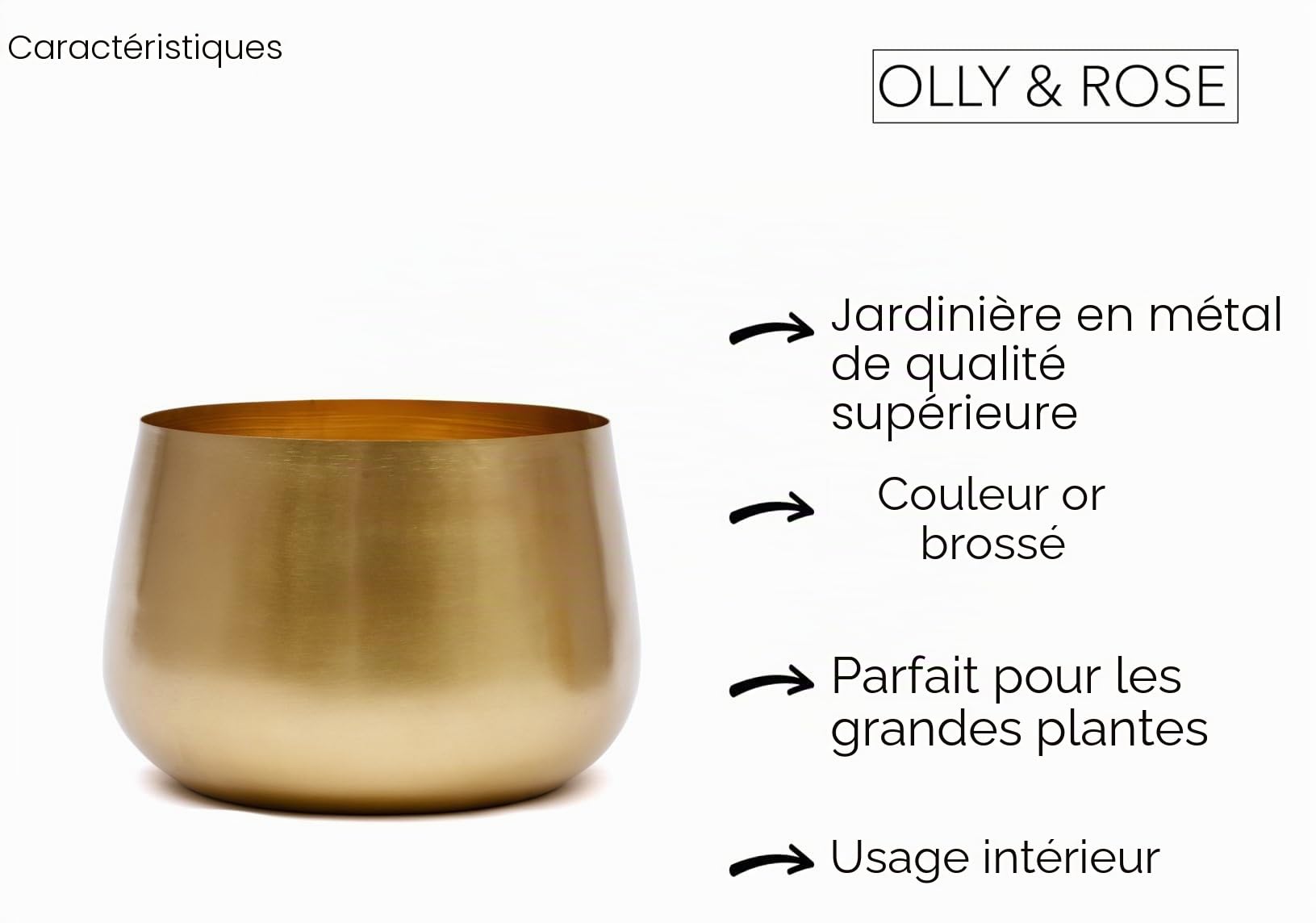 Olly & Rose Grand pot de fleurs doré en métal pour intérieur 28 cm (25 cm en haut) grand pot de fleurs (doré, 28 cm)