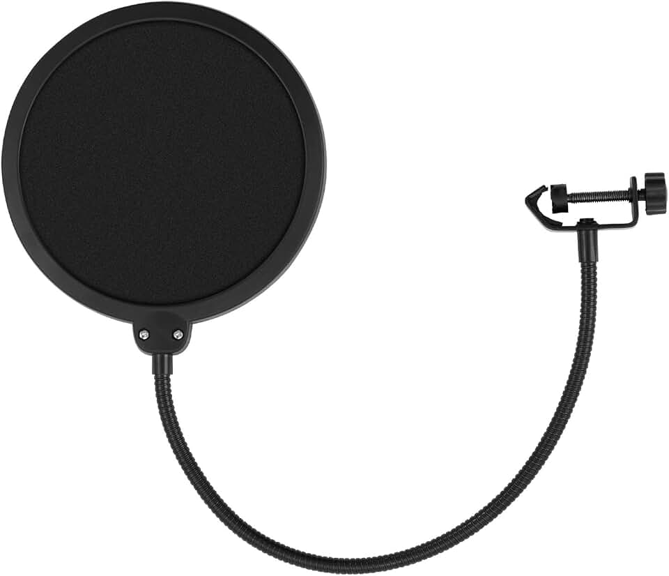 Pop Filter - Large Studio Microphone Wind Screen - with 360 Degree Flexible Gooseneck