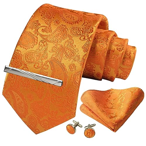Image of Paisley Floral Mens Tie Formal Necktie Pocket Squares Ties Clips Cufflinks Classic for Men Set
