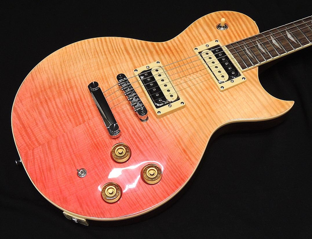 Amazon | AriaProII PE-JAIL 2025 BDSB Bloody Sunburst フレイム