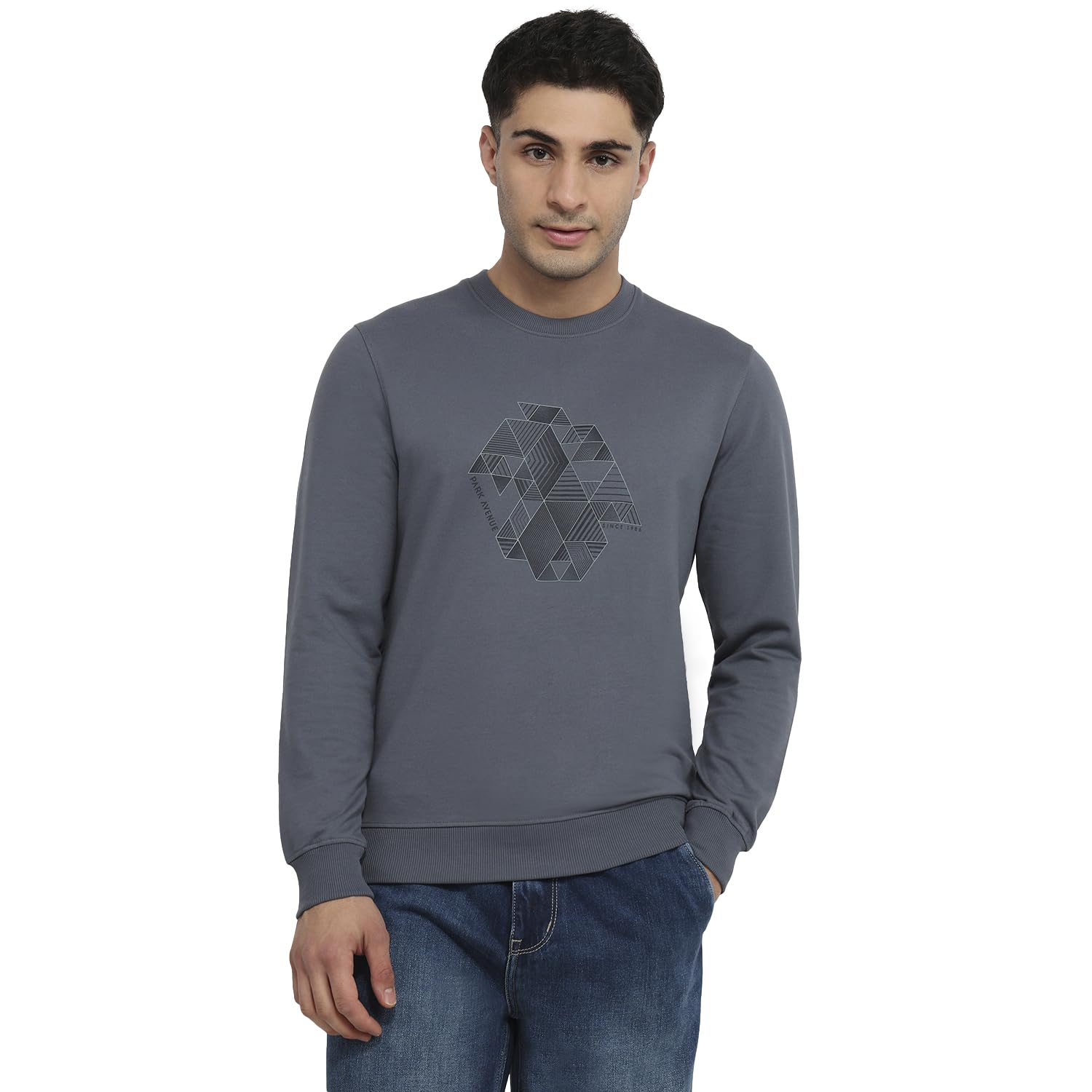 park avenue Men Slim Fit Print Pattern Cotton Polyester Blend Round Neck Full Sleeve Casual Sweatshirt-picture-18