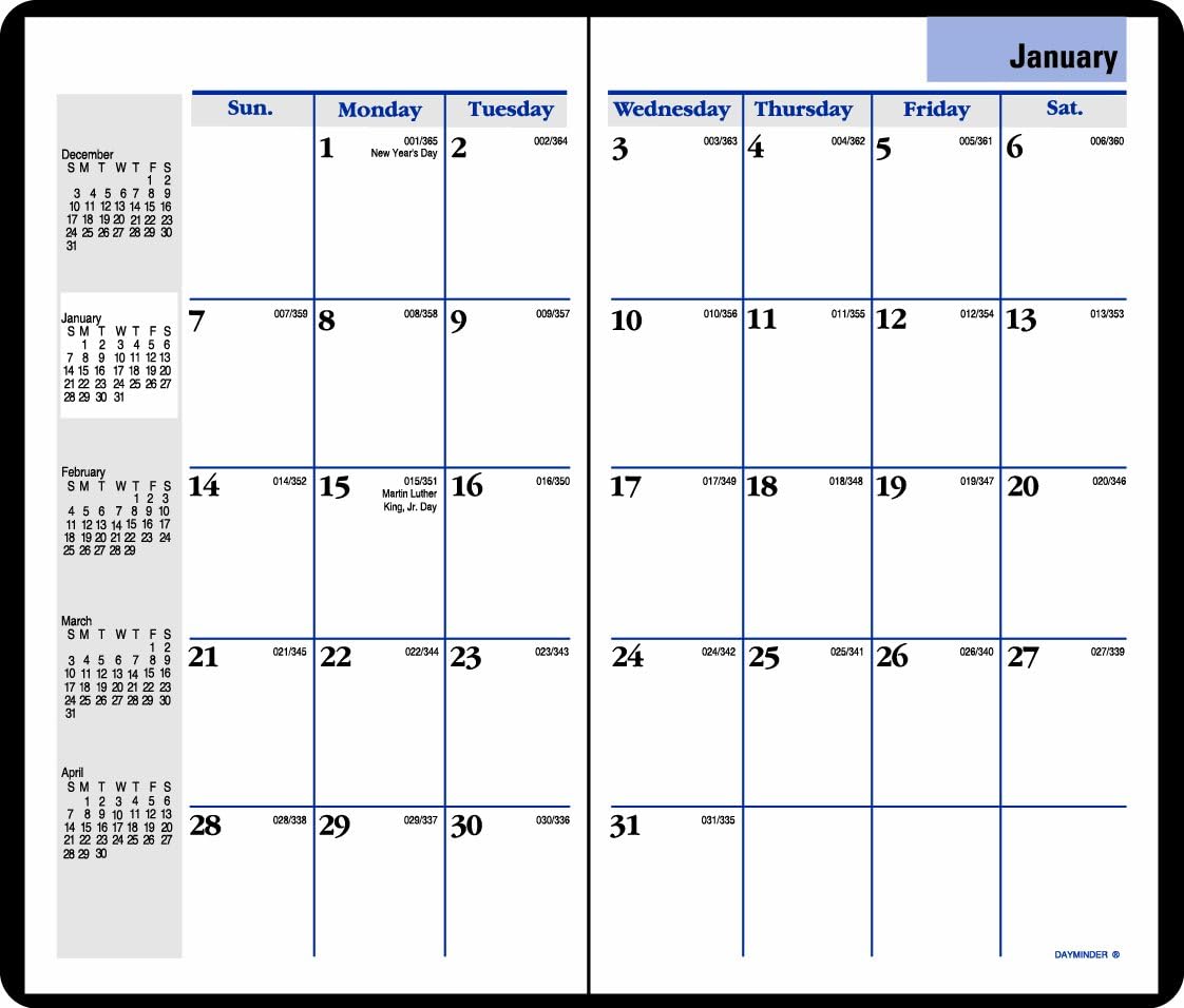 DayMinder, Monthly Planner, Black, 3.62 x 6.50 x .18 Inches, Current Year
