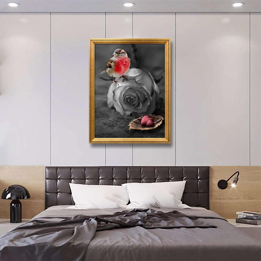 Amazon.co.jp: ALINCO(アルインコ) DCDCコンバーター DC24V-DC12V DT