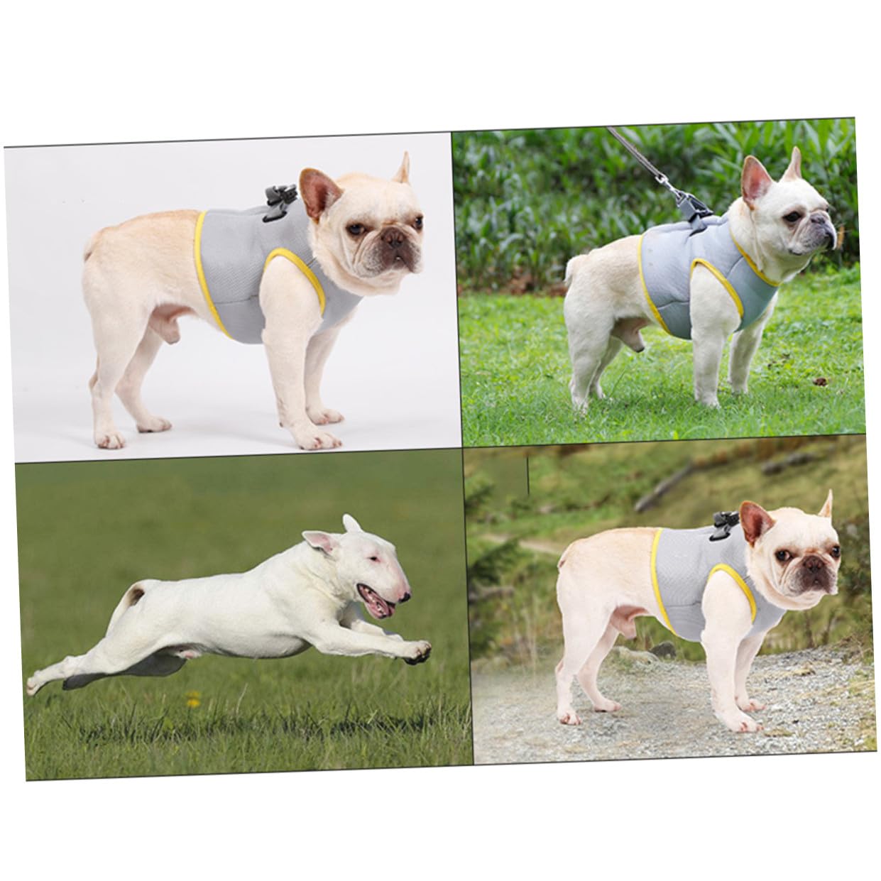 Kisangel Kühlweste Für Hunde Aus Atmungsaktivem Material Wärme Und Schweißabsorbierend Mit Verstecktem Schnellverschluss Und Zugseil Für Outdoor-aktivitäten
