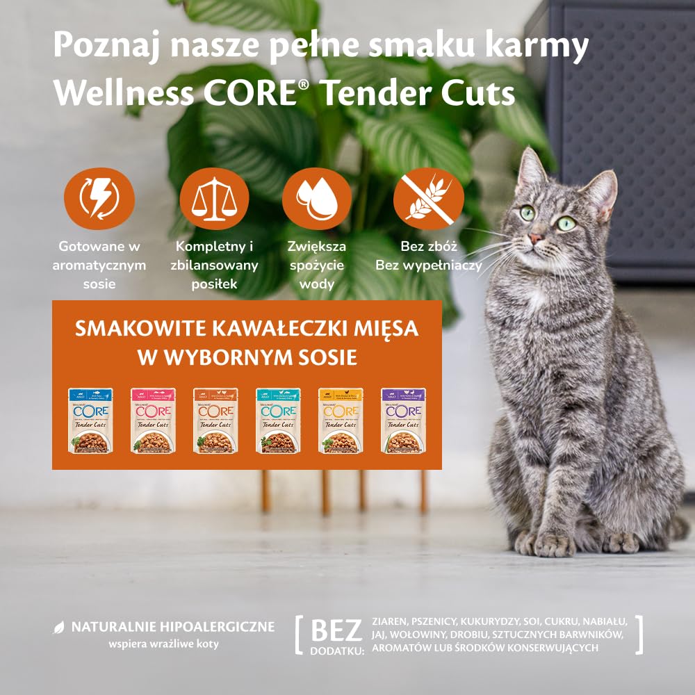 Wellness CORE Tender Cuts 24 x 85g, Kurczak i Wątróbka z Kurczaka – Mokra Karma dla Kotów, Delikatne Kawałki w Sosie, Bezzbożowa, Naturalna, Hipoalergiczna, Bogata w Białko, Wysoka Zawartość Mięsa
