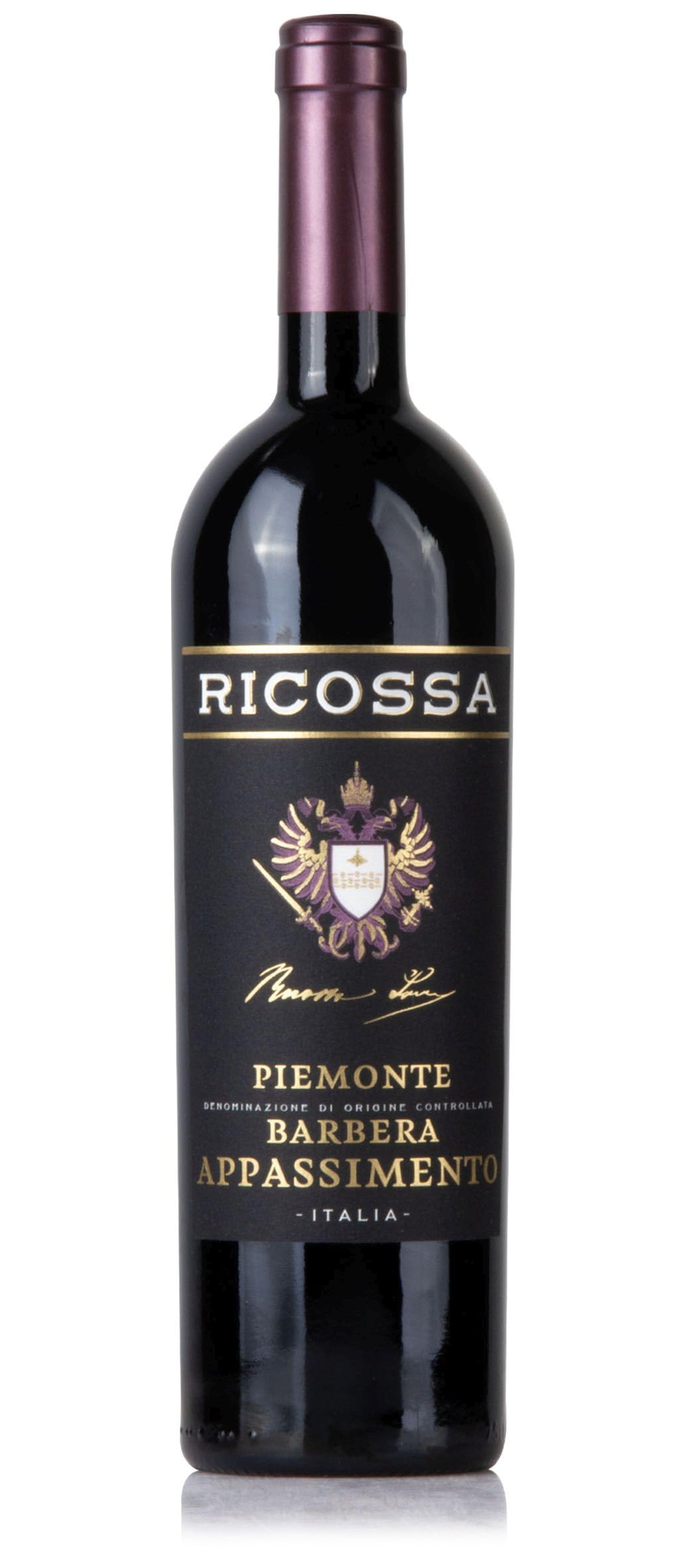 Ricossa Barbera DOC Appassimento Trocken, 750ml