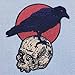 The Raven On The Skull Patch Embroidered Applique Badge Iron On Sew On Emblem