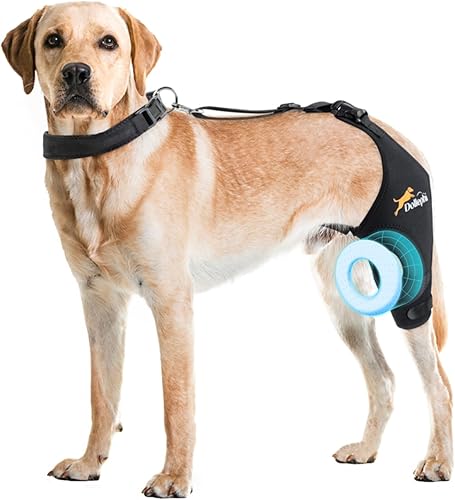 Miniatura 35 de Rodillera para perro para pierna trasera desgarrada del ligamento cruzado anterior, soporte para luxación de rótula u osteoartritis, lesiones