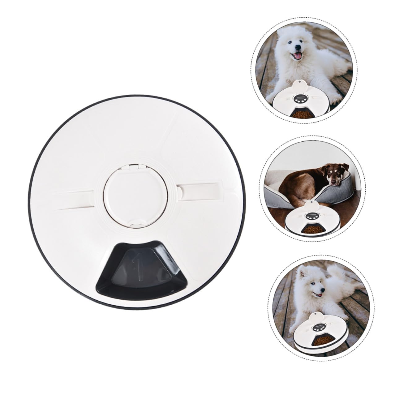 Alimentador Automático Temporizado para Mascotas de 90g Negro Abs | Dispensador de Comida para Perros, Diseño Desmontable y Almohadilla Antideslizante, para Colocar Esquina
