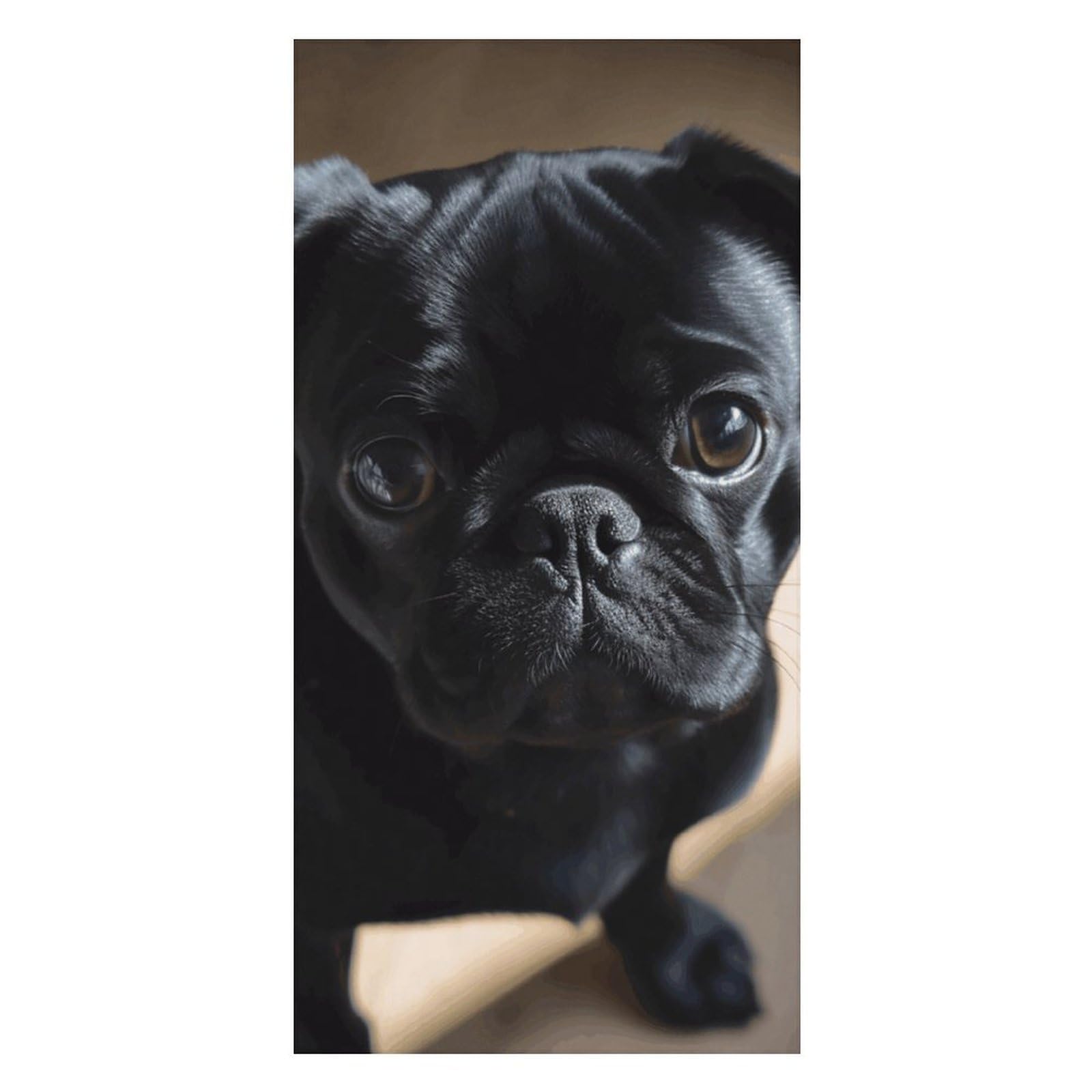 Black Pug Dog Puppy Beach Towels Extra Large, Quick Dry Absorbent Multipurpose, Oversized Beach Towel, Sand Free Foldable Lightweight, Travel Towel, For Beach Pool Camping Travel Vacation, 63x31.5 in