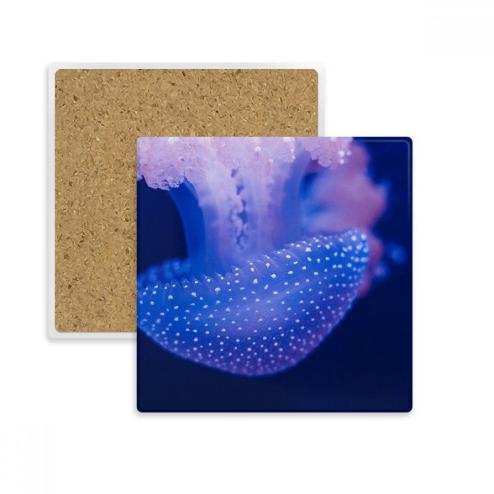Dessous de verre Méduse Marine en pierre absorbante pour mug et tasse - Lot de 2