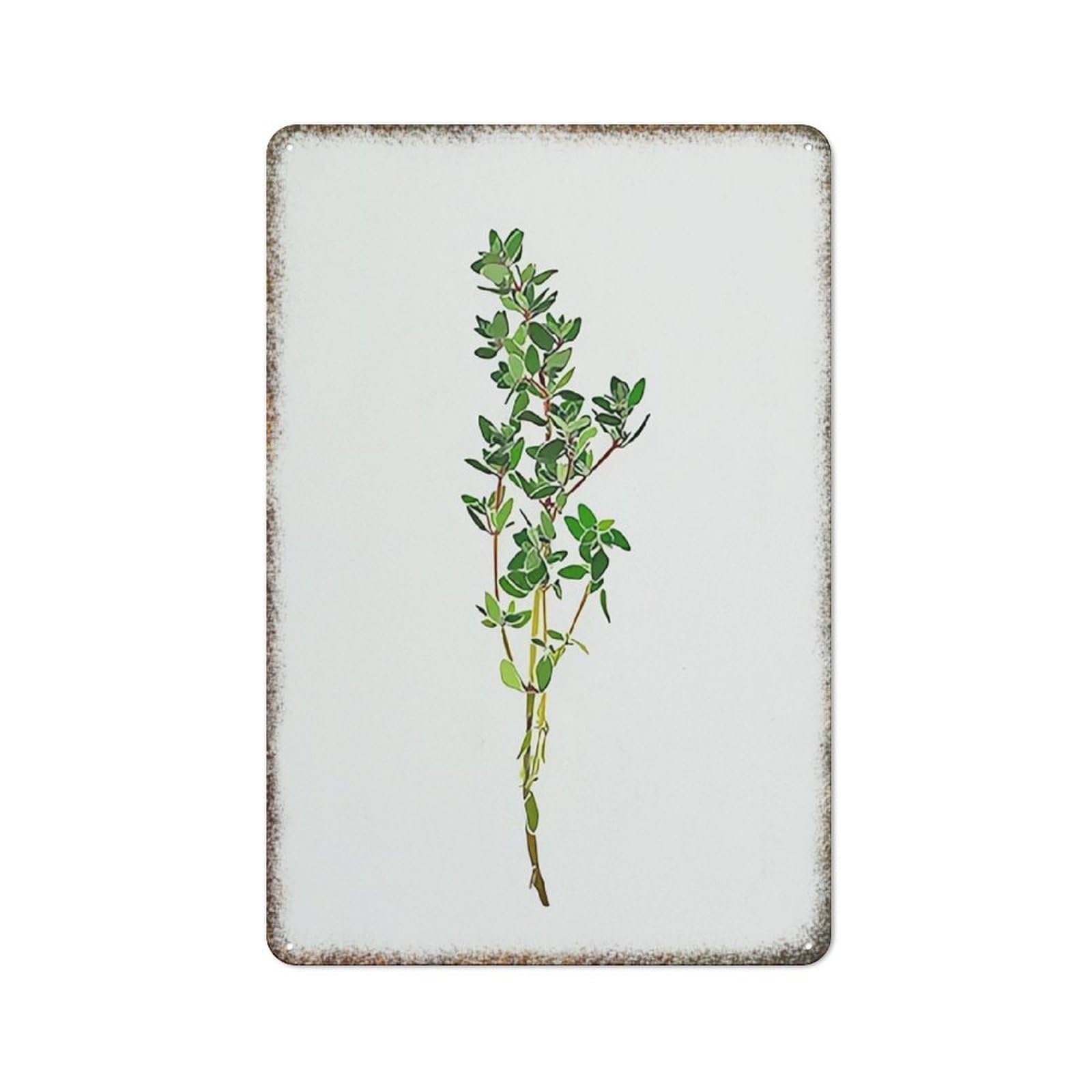 Thyme Herbal Kitchen Watercolor Wall Print Rustic Interesting Style Farmhouse Home Decor Art Sign 8x12 Inch