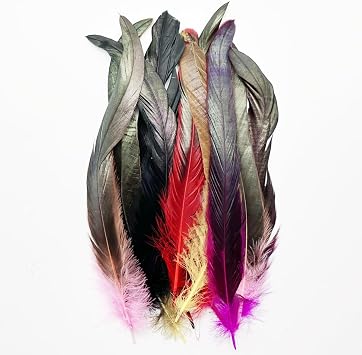Natural Colorfu Rooster Tail Feathers,55pcs 12-14inch 30-35cm Bulk Long Rooster Feathers,for DIY Crafts Costume and Halloween Party Performances Decoration Colorful, 12-14in