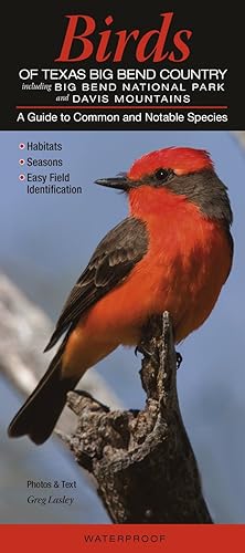 Birds of Texas Big Bend Country incl. Big Bend National Park &amp; Davis Mtns.: A Guide to Common &amp; Notable Species