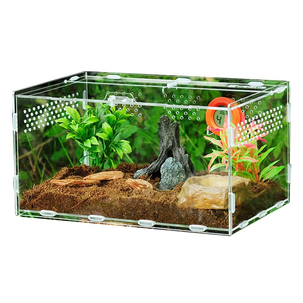 Transparente Acryl Terrarium Reptil Fütterungsbox Reptilienzuchtbox Transportboxen Futterbehälter Box Für Spide Skorpion Käfer Gottesanbeterin Reptilien Lebensraum