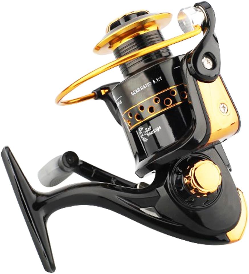Vivoice Fishing Reel - Smooth Spinning Reels 12 Ball Bearings-Brass Gears,Left Right Interchangeable Collapsible Handle (3000)
