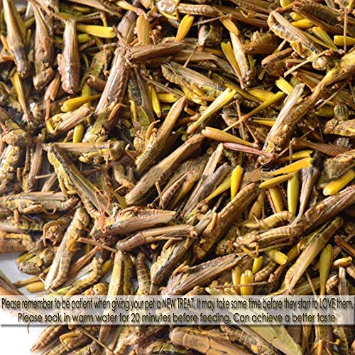 7OZ Tasty Freeze Dried Grasshopper Reptile Food for Turtles, Bearded Dragon, Hedgehog,Lizard, Chameleon, Birds