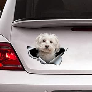 Ocean Gift Hamsters Car Decals, Wall Decals Stickers Pack Of