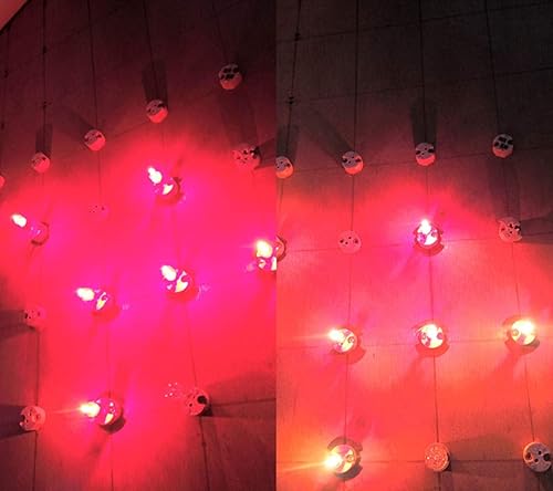 Miniatura 7 de Bombillas halógenas de 10 W, G4, 10 W, 12 V, lámpara halógena G4, base G4, 10 W, 12 voltios, T3, JC, lámpara halógena, luces infrarrojas, para silla