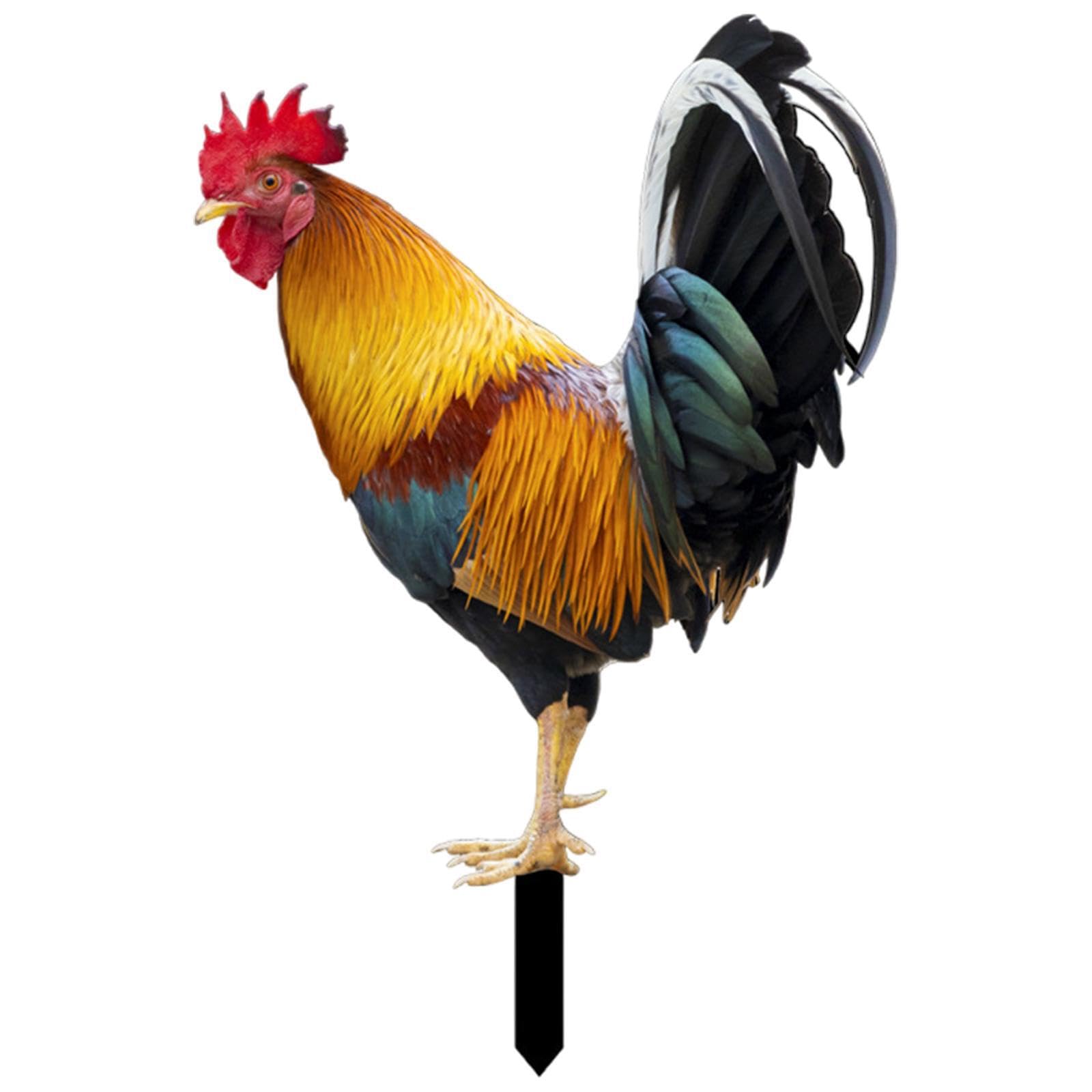 mophrati Adorable Chicken Figurines Statues Life To Surroundings Creating Warm Welcoming Outdoor Ambiance Garden Decorations Are Made Of Premium Acrylic, Style B