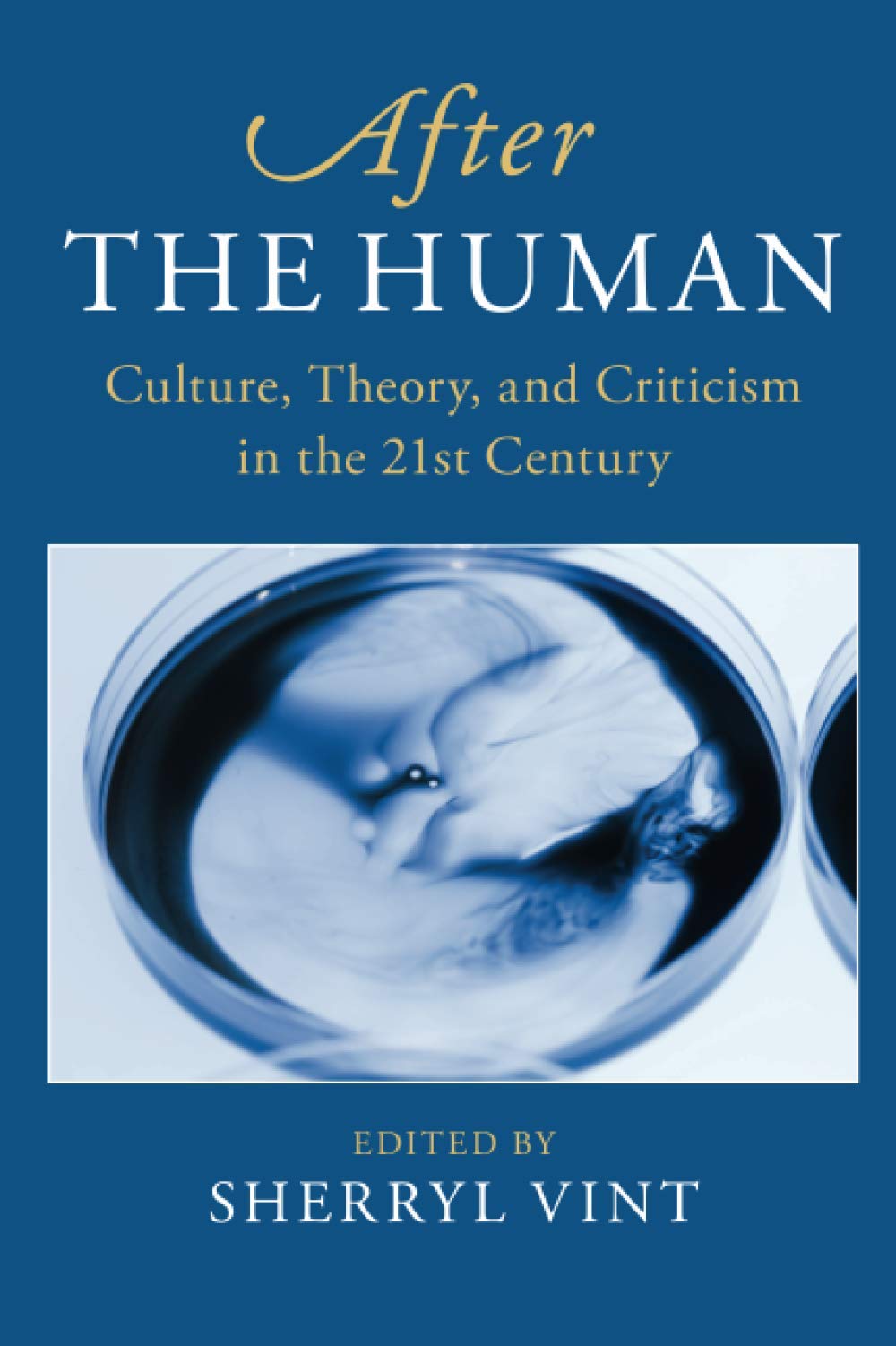 After the Human: Culture, Theory and Criticism in the 21st Century: 6 (After Series, Series Number 6)