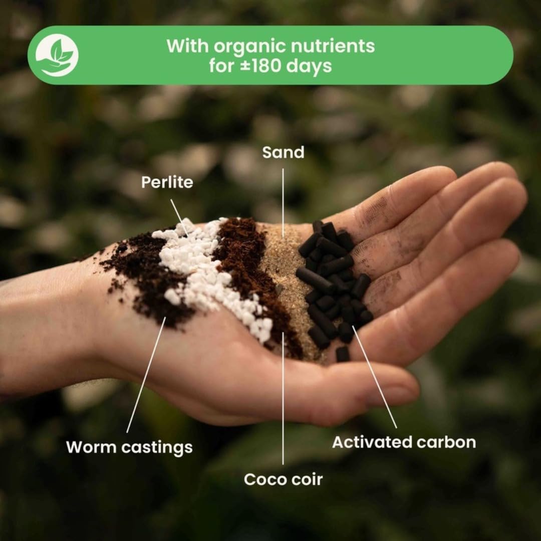 Sybotanica Terriccio felci 20 L, substrato di cocco senza torba