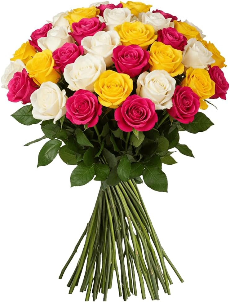 GlobalRose Fresh Cut Assorted Roses - 75 Roses (3 Bundles of 25) Fresh Bouquet for Birthday, Anniversary or Home Decor - Flowers Delivery Gift