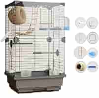 Amazon.co.jp: クリアアクリル鳥かご 【2023年新登場 鳥籠