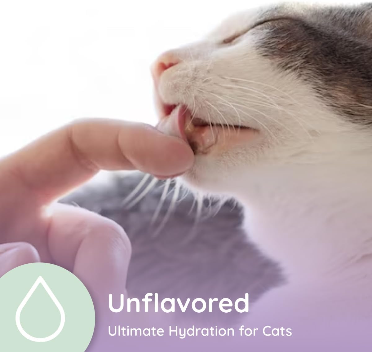 Petralyte Cat Hydration Electrolyte and Cat Joint Supplement | Hydration Support for Cats w/Glucosamine, Chondroitin, L-Glutamine, Taurine, Lysine & Prebiotics | Unflavored | 16 Packets