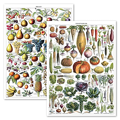 Lot de 2 affiches vintage de fruits et légumes – Tableau de référence d'identification botanique – Décorations de cuisine – Lot de 2 affiches (laminé, 45,7 x...